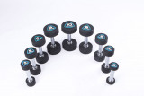 Гантели в уретане LIVEPRO Studio Dumbbells 8 кг, черный/синий