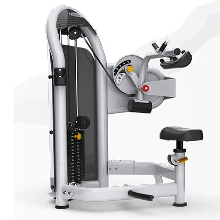 Тренажер грузоблочный Сгибание туловища MATRIX Aura G3-S50