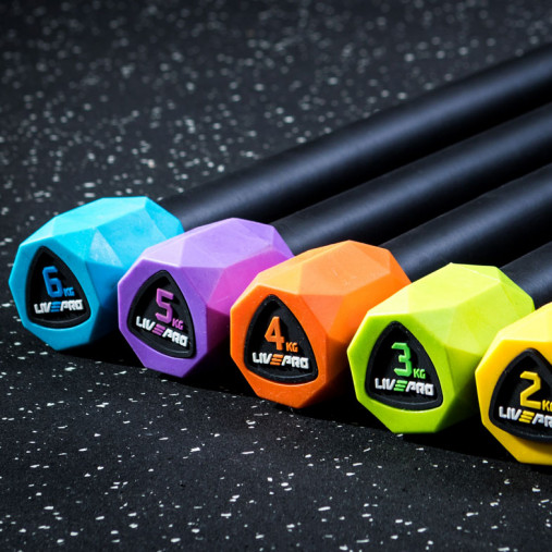 Гимнастическая палка LIVEPRO Weighted Bar 5 кг, фиолетовый/черный