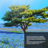 UNO ONE UN367 Beige Массажное кресло