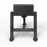 Spirit SP-4206 Скамья Скотта