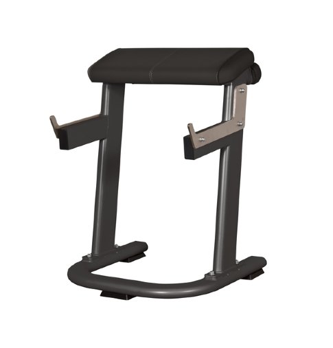 Подставка для сгибания рук стоя (парта Скотта) Spirit Fitness AFB142 Подставка для сгибания рук стоя (парта Скотта) Spirit Fitness AFB142