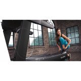 Smith ST800 Профессиональная Беговая дорожка 