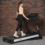 Proxima Ivetta HRC Беговая дорожка Proxima Ivetta HRC Беговая дорожка