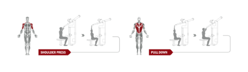 Для удобства пользователей на тренажере размещена инструкция, где наглядно показано какие группы мышц будут задействованы, а также техника выполнения упражнений, для большей эффективности