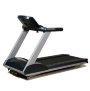 Беговая дорожка AeroFIT Pro 8800TM 10" LCD