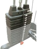 Дополнительный вес на стек с пластиковыми втулками 6.8 кг Body-Solid SP15 Дополнительный вес на стек с пластиковыми втулками 6.8 кг Body-Solid SP15