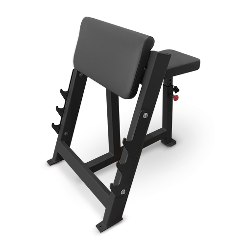 Скамья Скотта (парта для бицепса) Bronze Gym AL-303